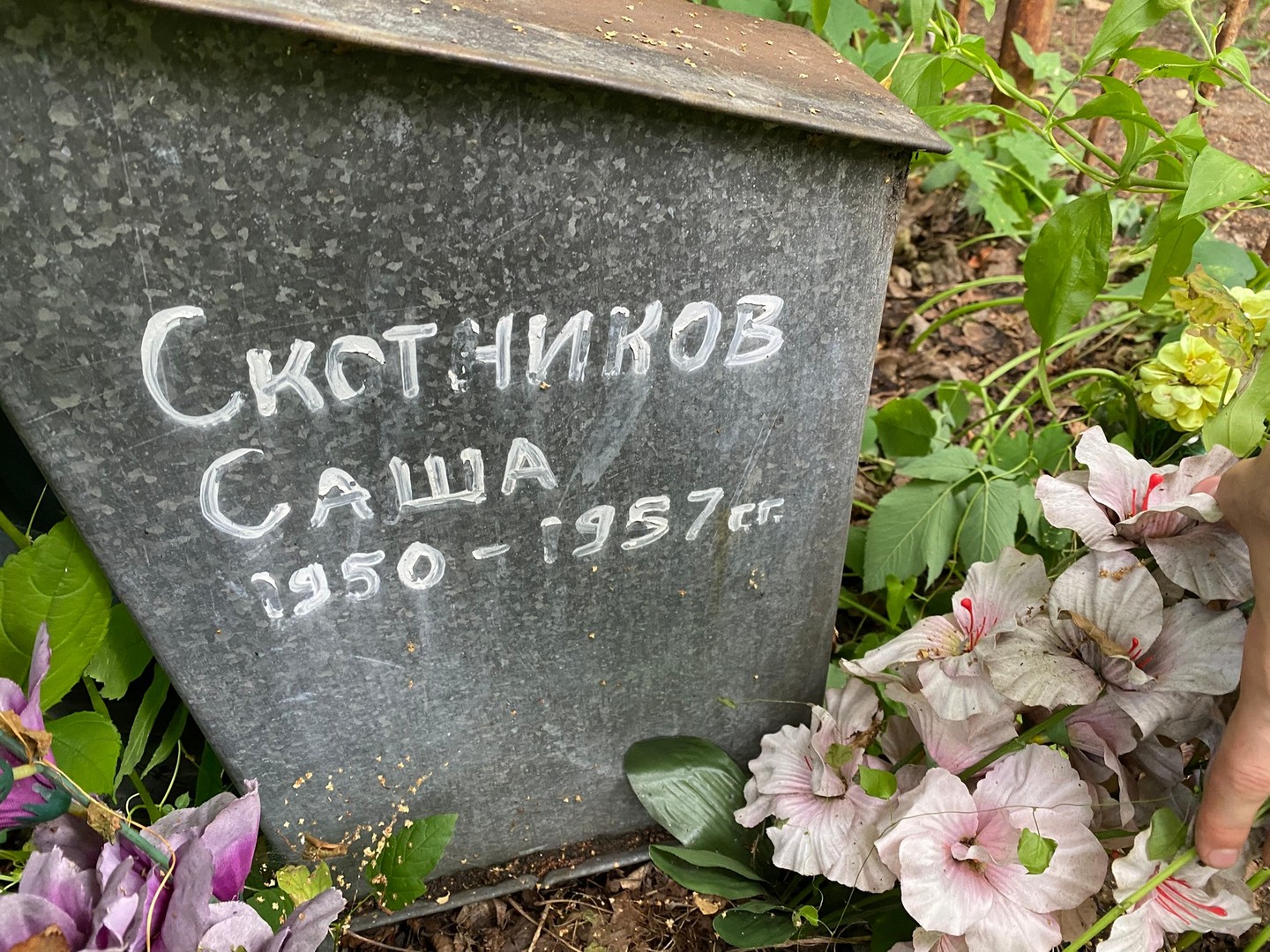 Скотников Скотников