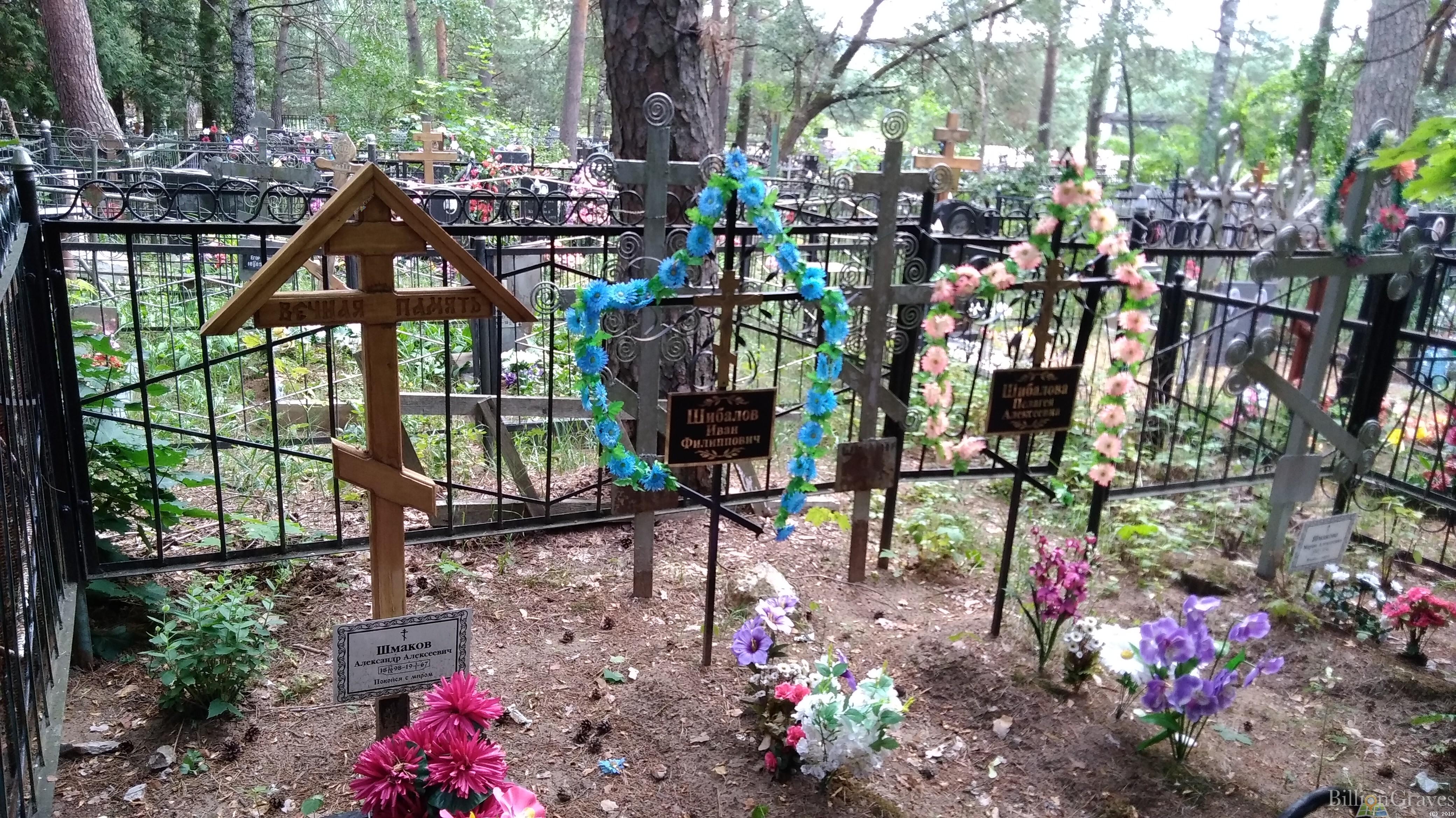 Шмаков Александр Алексеевич