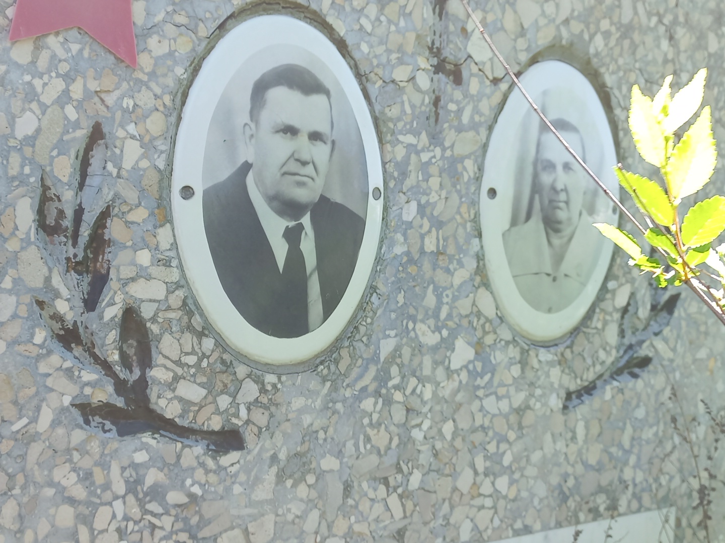 Шубков Александр Петрович