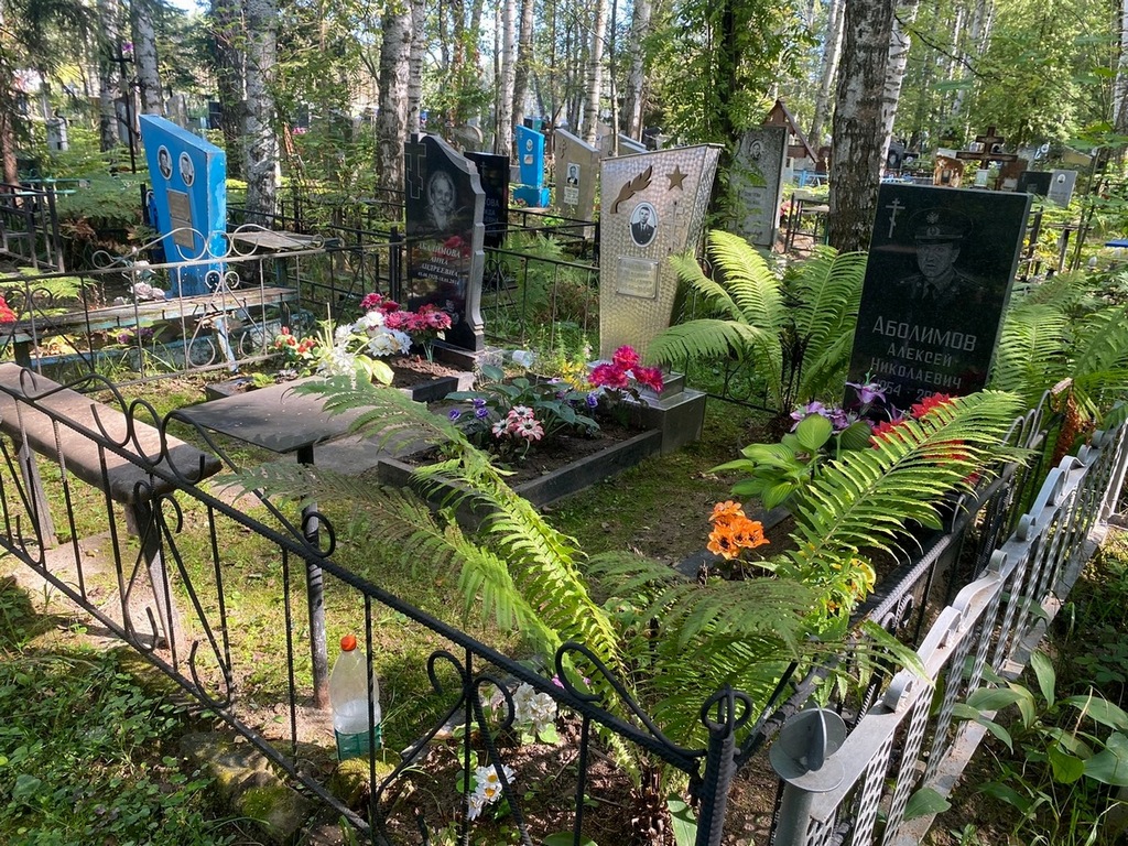 Абалимова Анна Андреевна