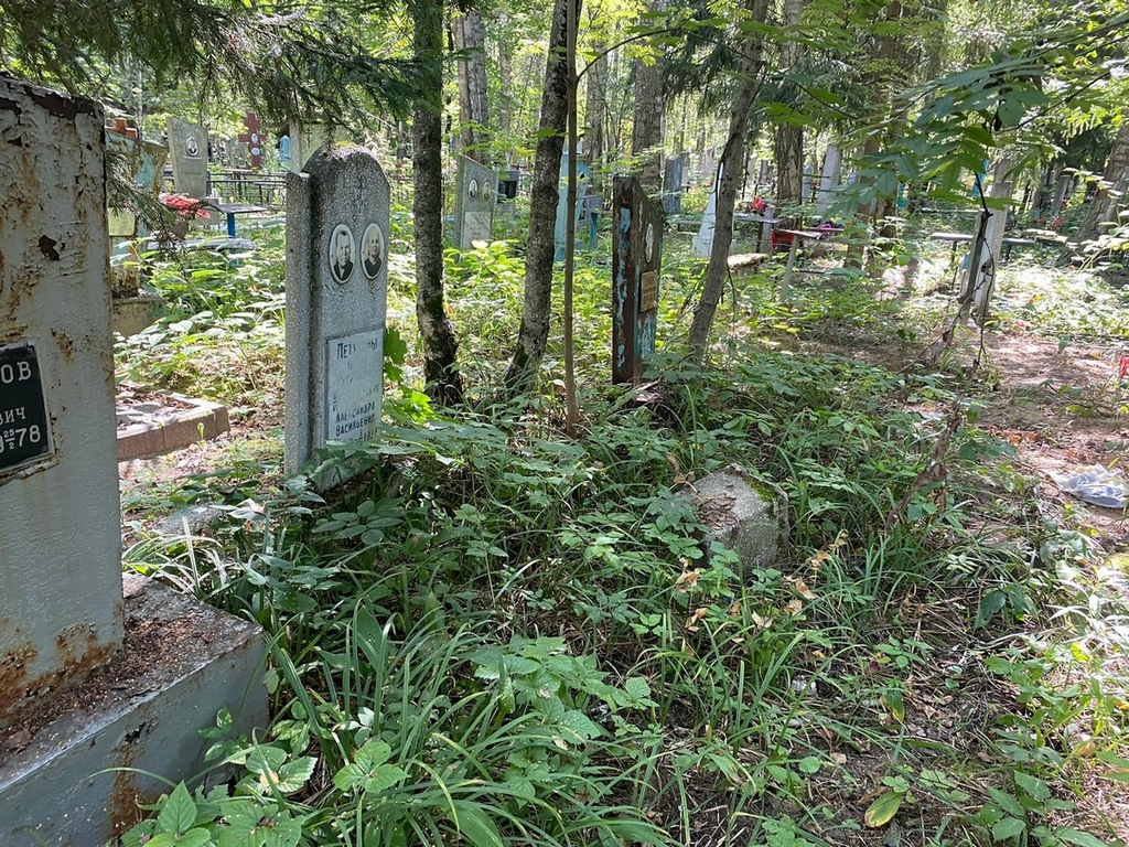 Петунина Александра Васильевна