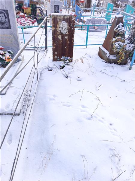 Питиримов Николай Иванович