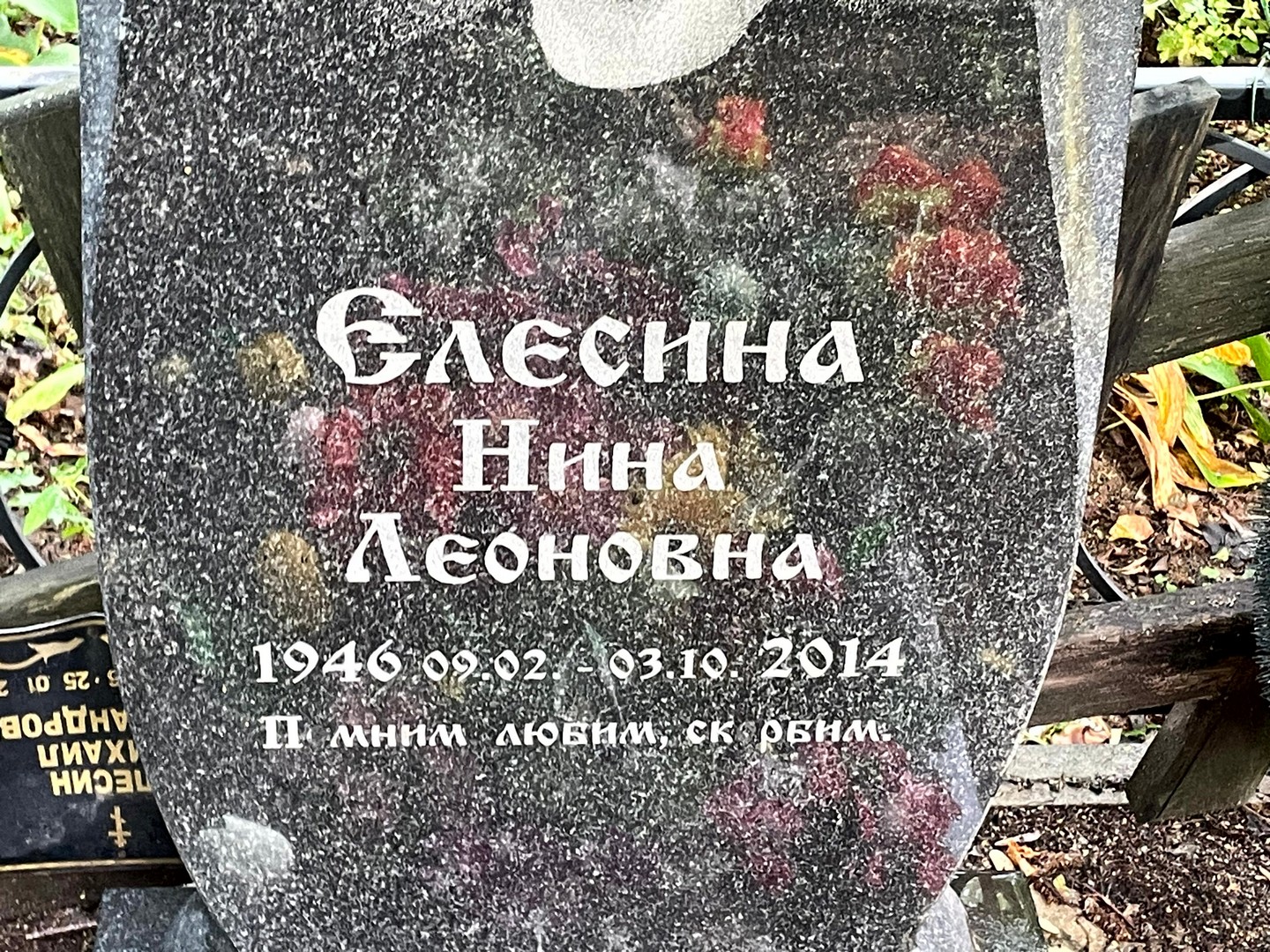 Елесина