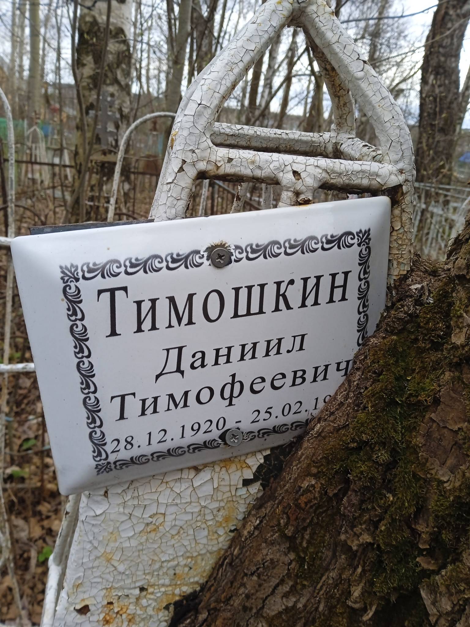 Тимошкин Даниил Тимофеевич
