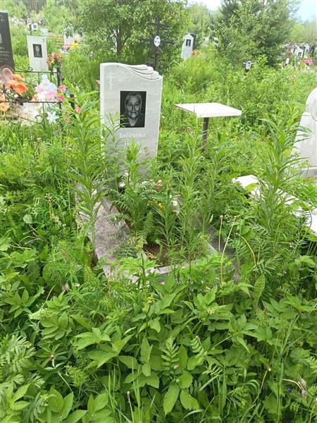 Зибирева Нина Викторовна