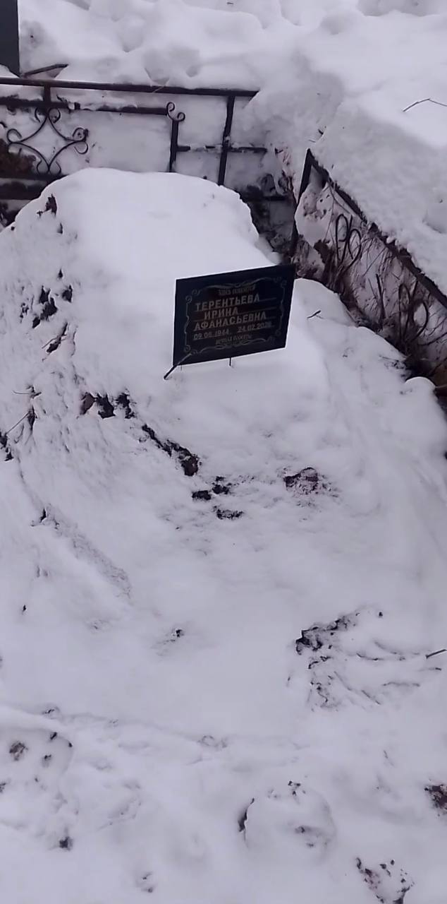 Терентьева