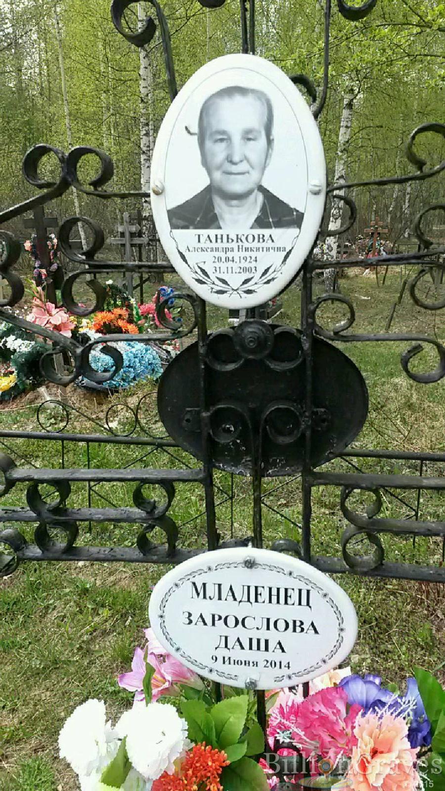 зарослова даша