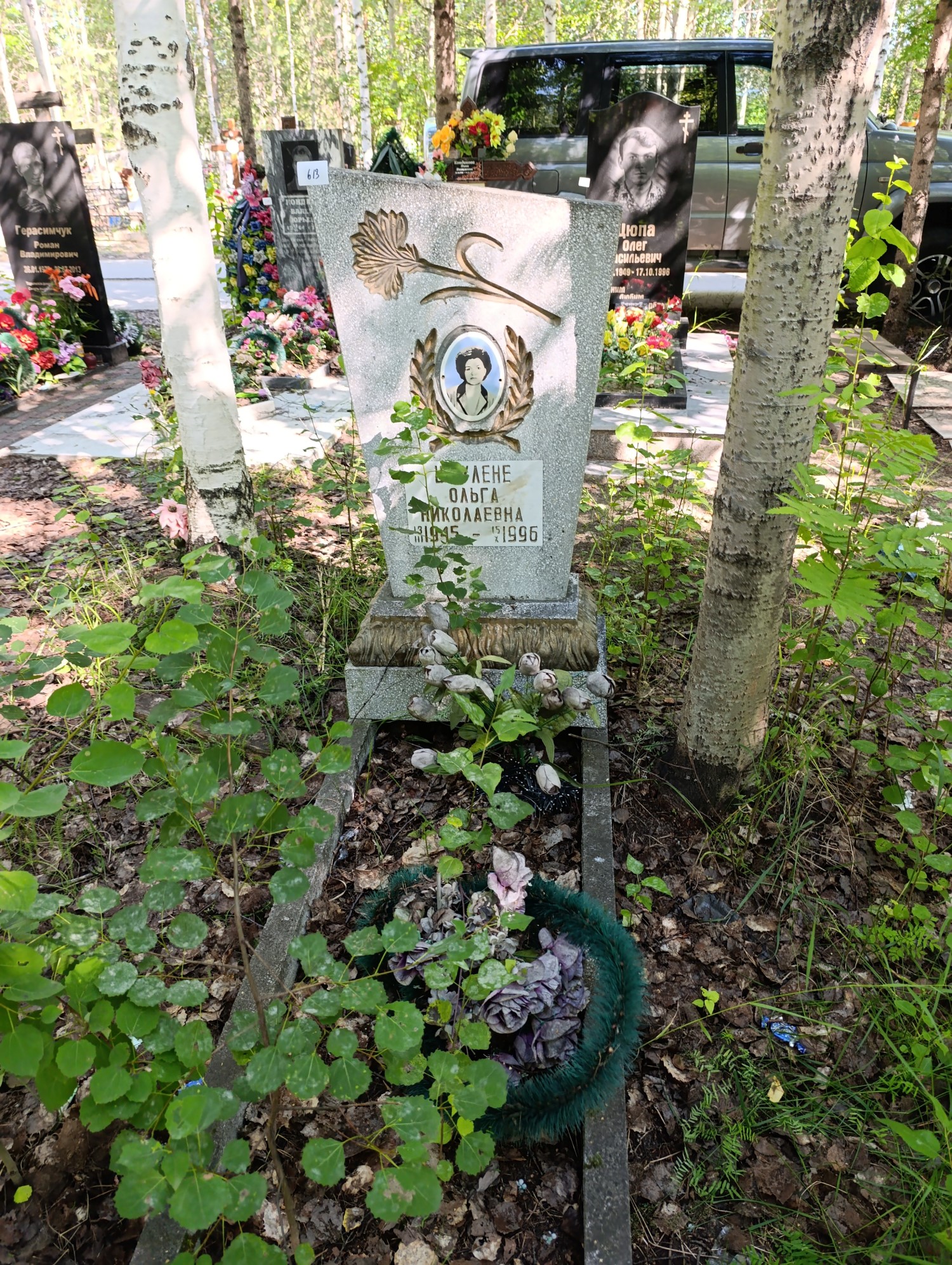 Шаулене Ольга Николаевна