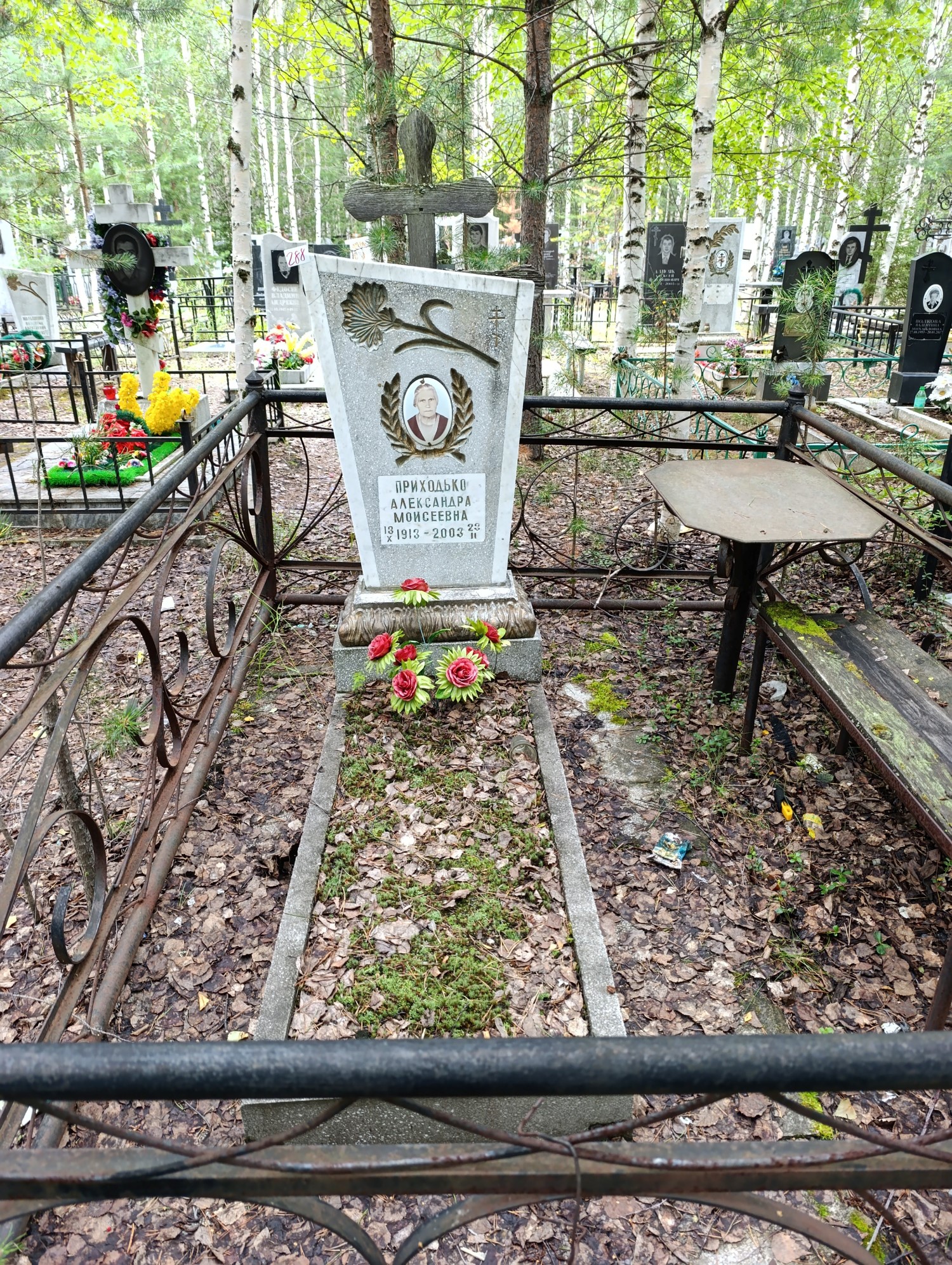 Приходько Александра Моисеевна
