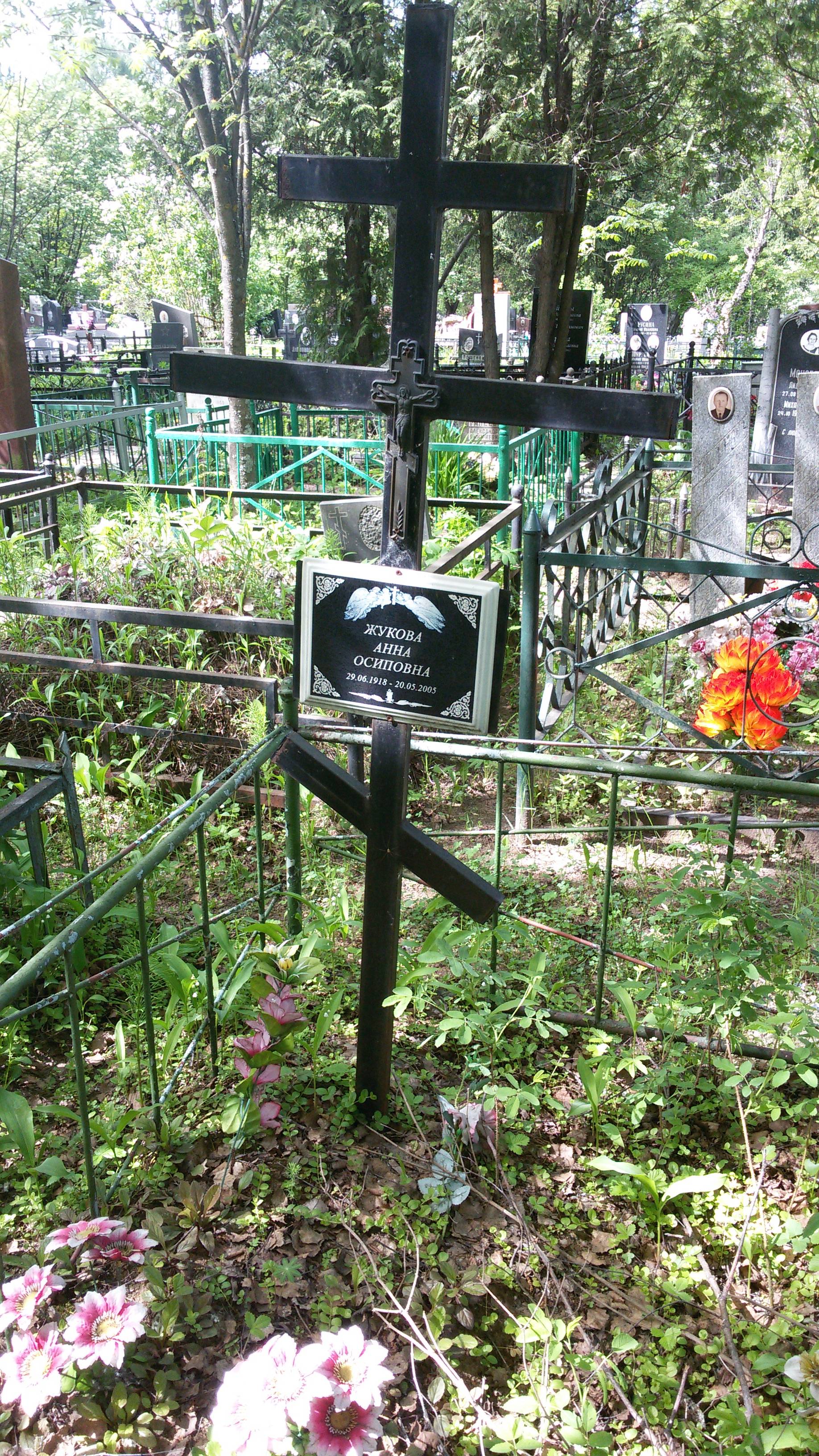 Жукова Анна Осиповна