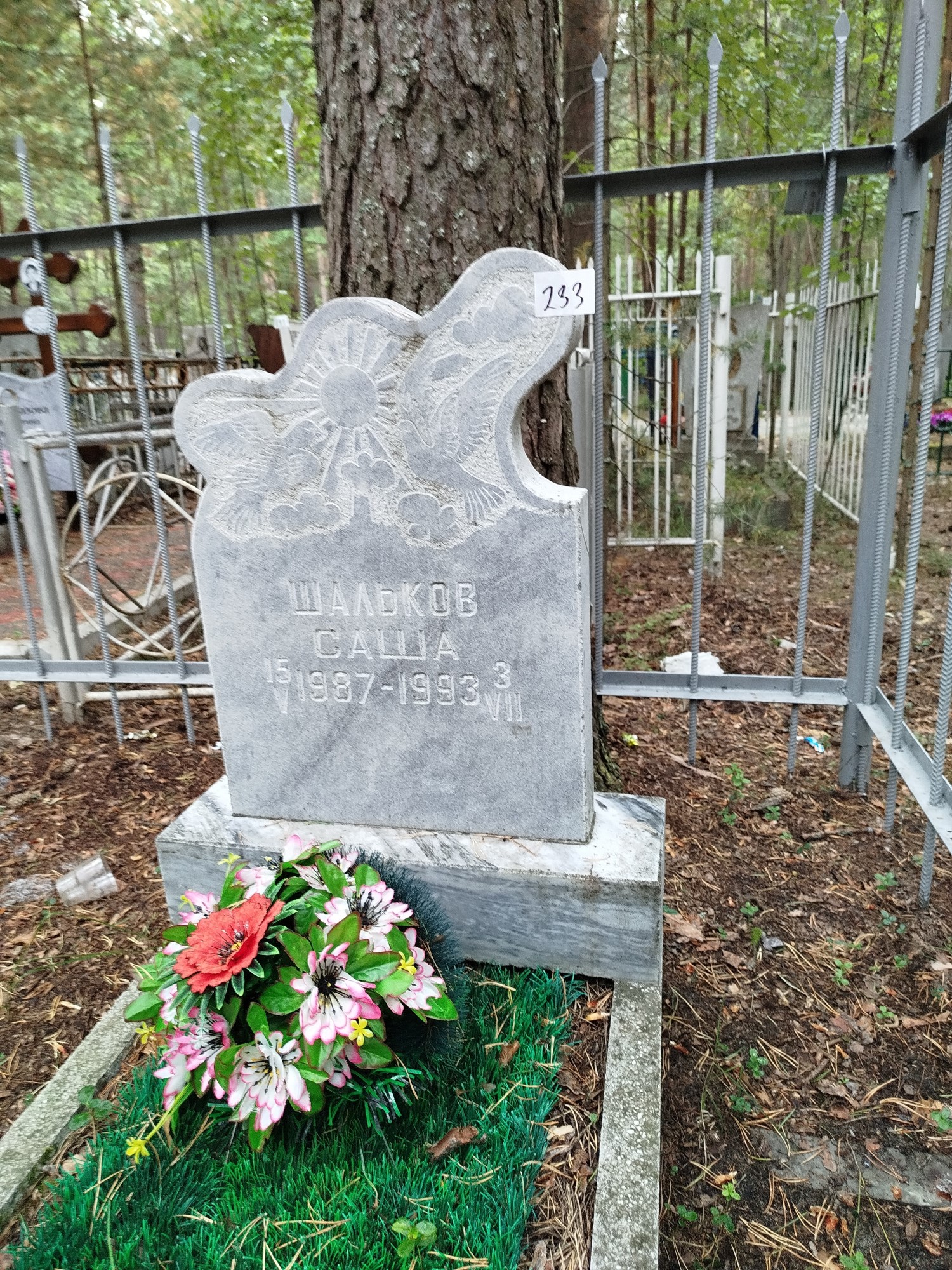 Шальков Саша