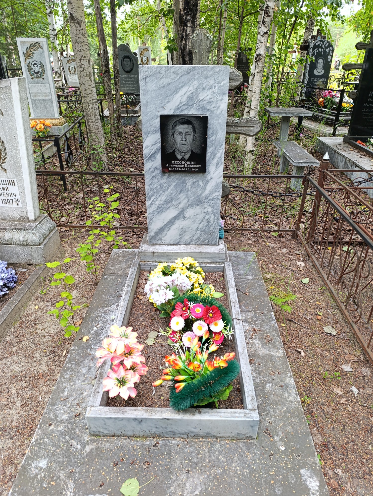 Мехоношин Александр Павлович