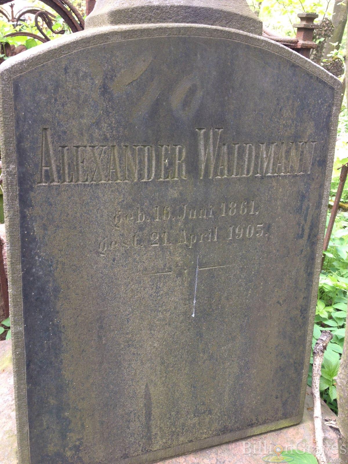 Waldmann Alexander