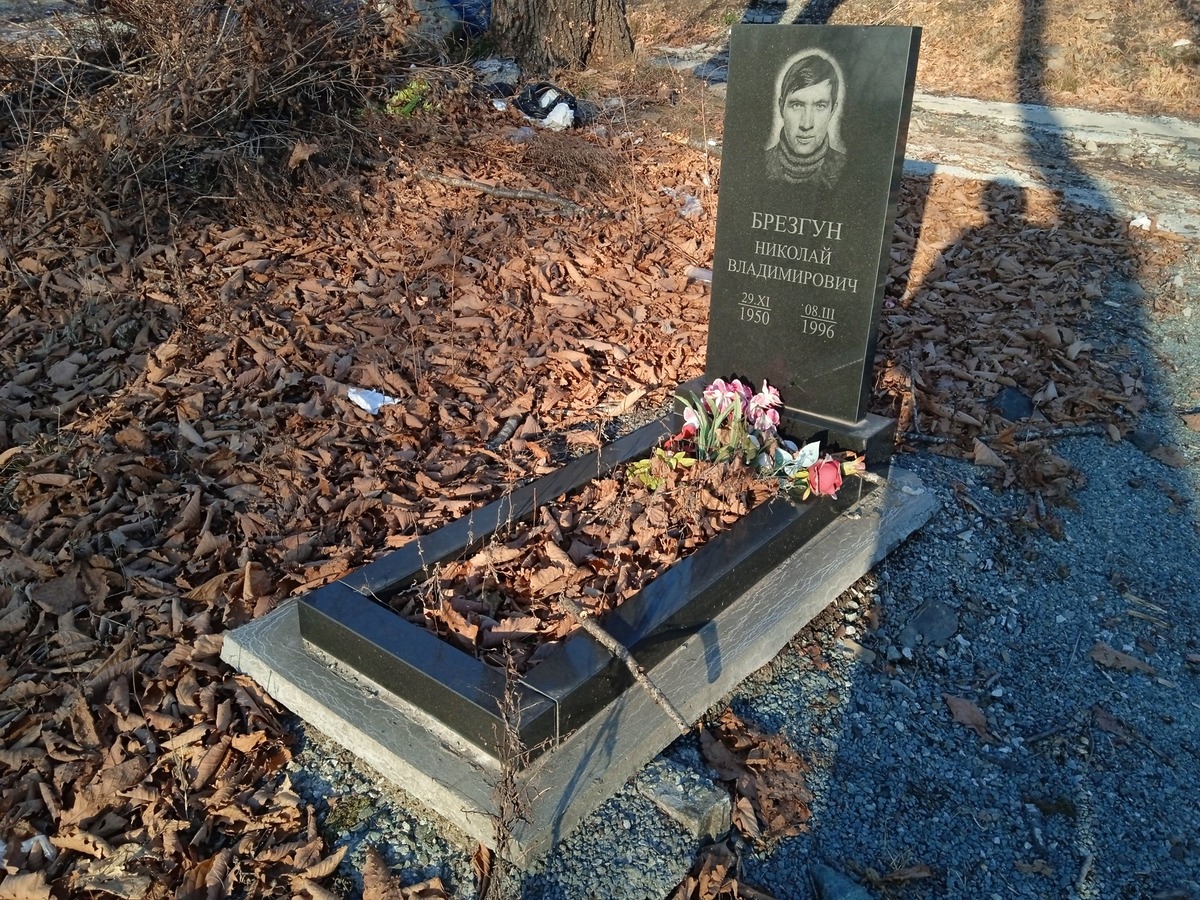 Брезгун Николай Владимирович
