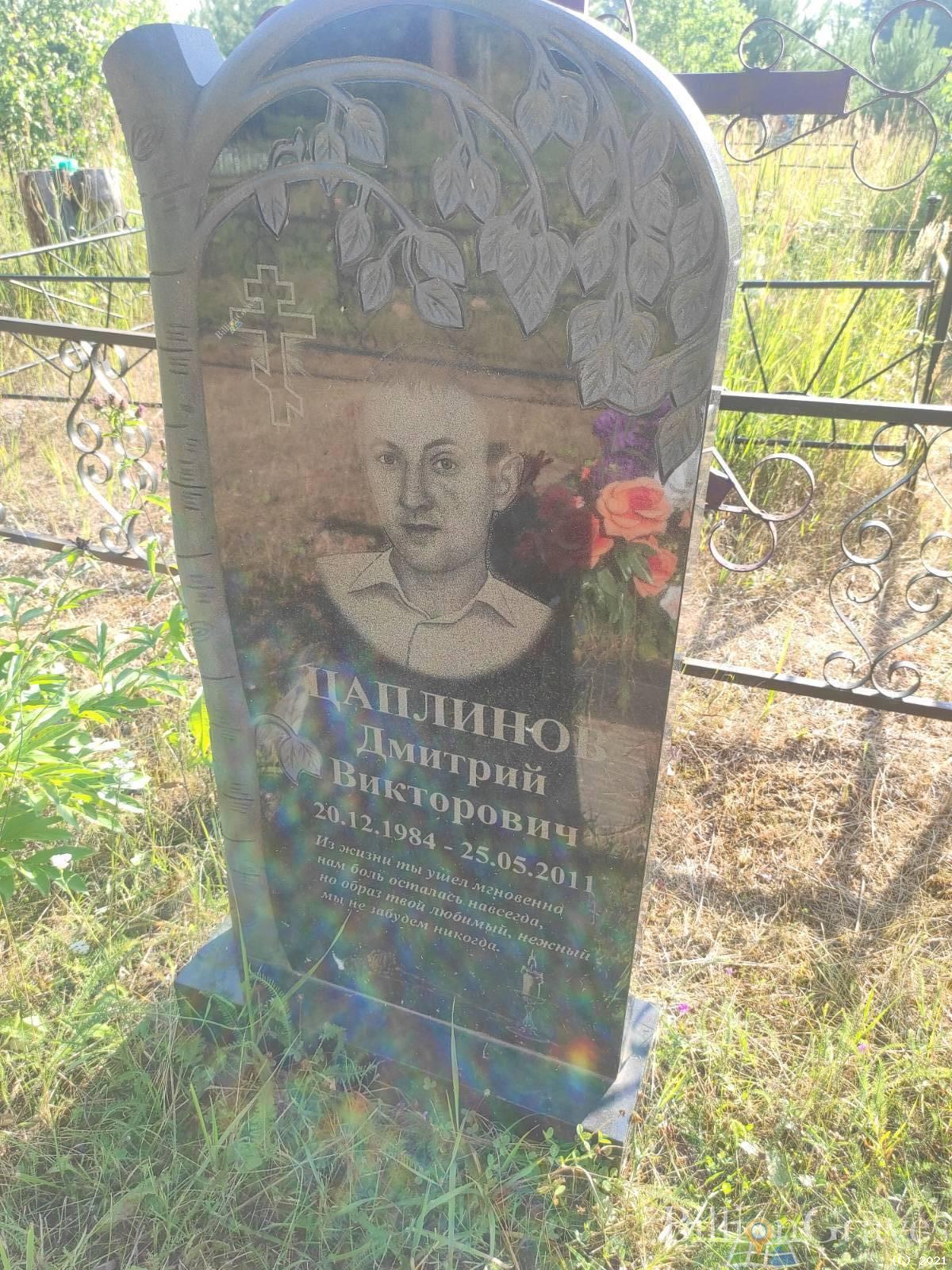 Цаплинов Дмитрий Викторович