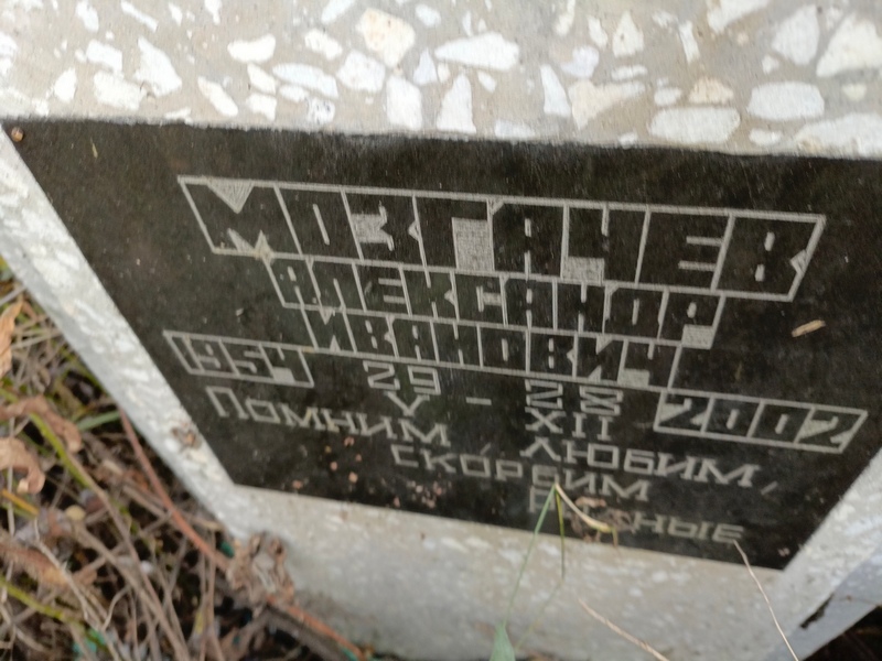 Мозгачев