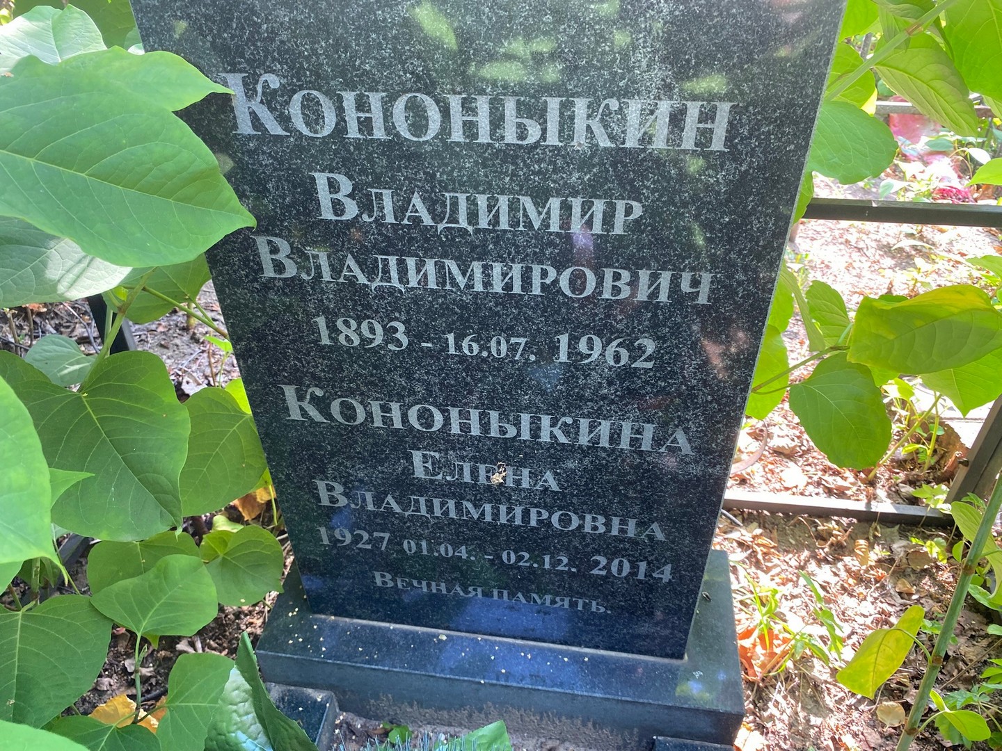 Кононыкин