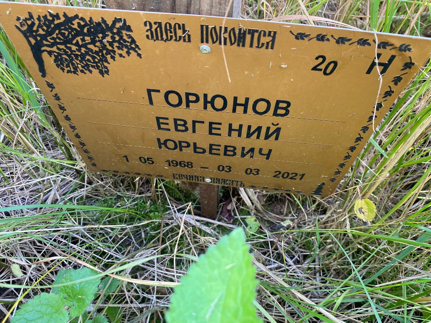 Горюнов