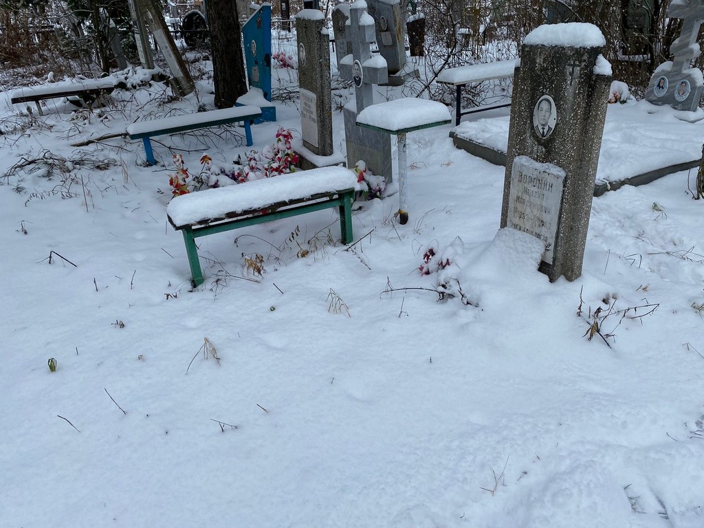 Воронин Михаил Максимович