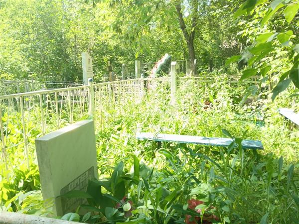 Сергеев Геннадий Георгиевич