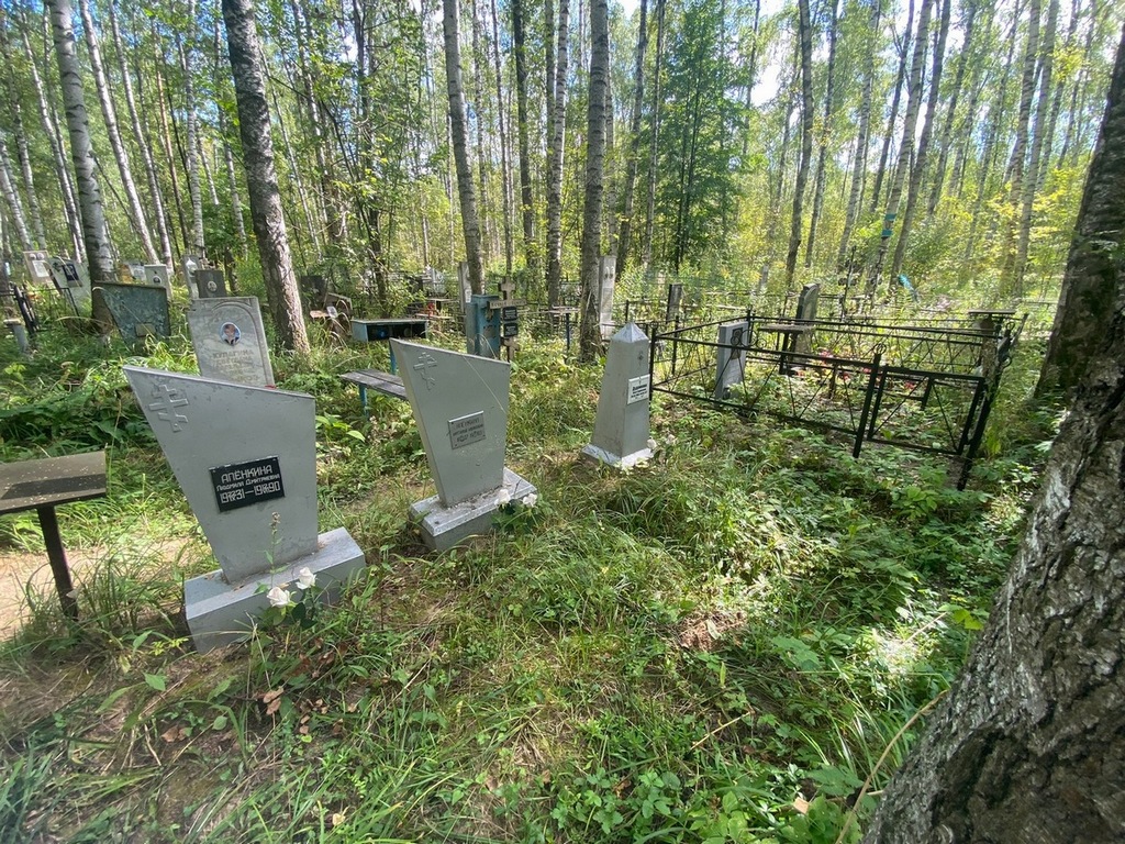 Аленкина Наталья Ивановна