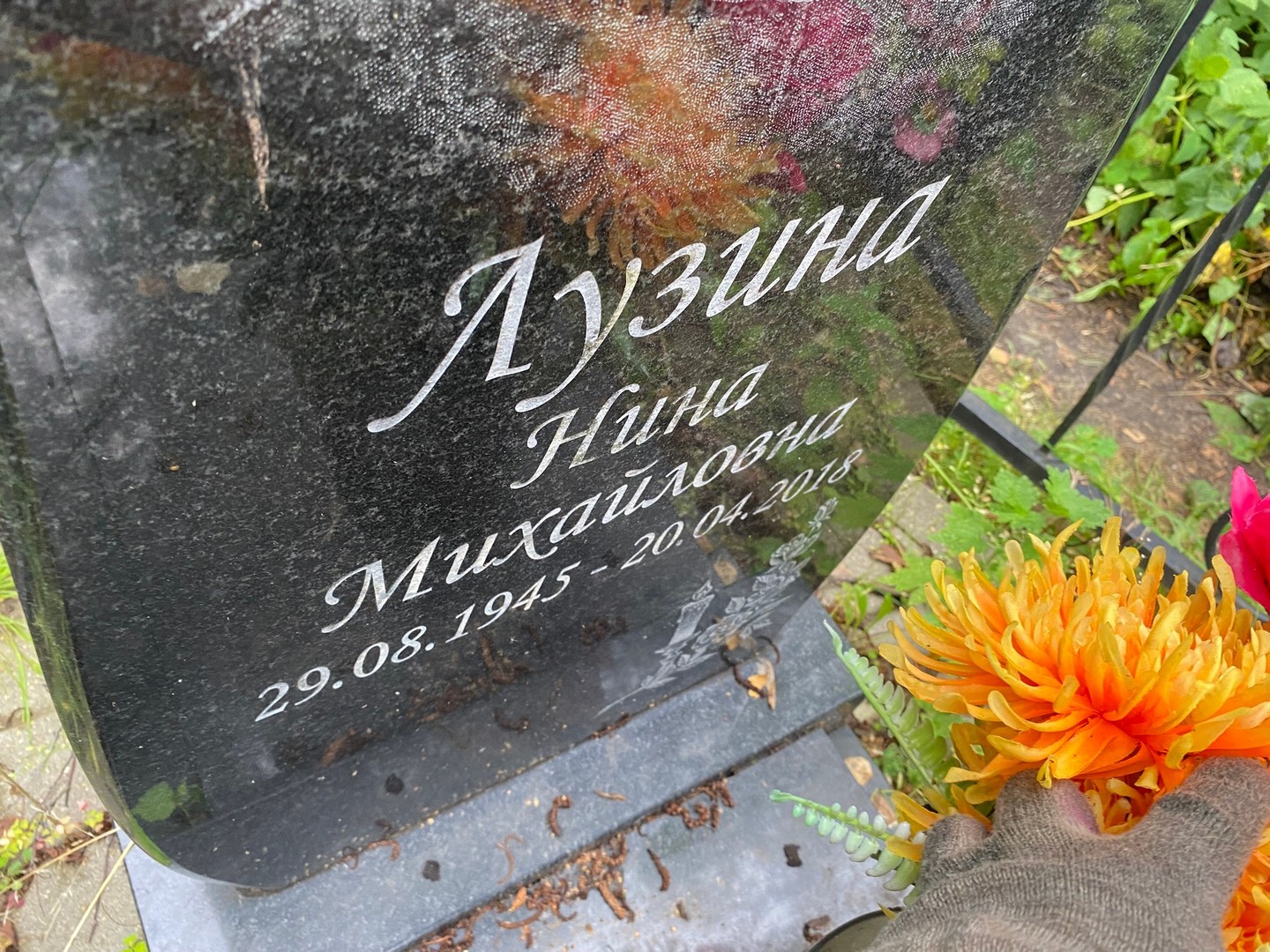 Лузина