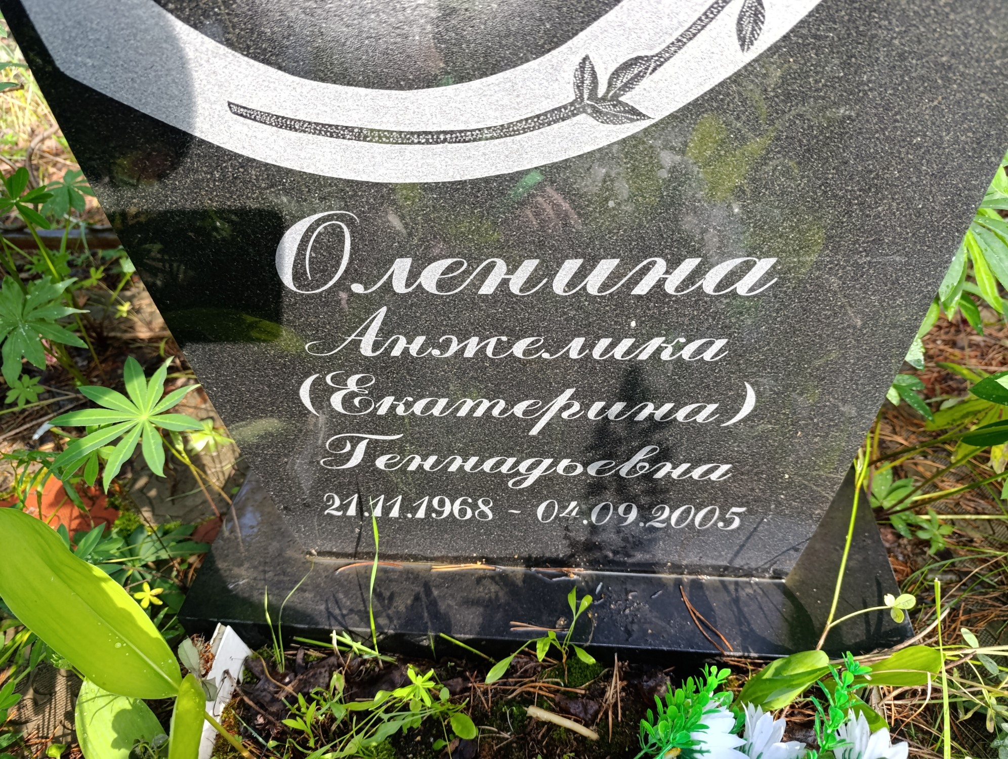 Оленина АнжеликаЕкатерина Геннадьевна