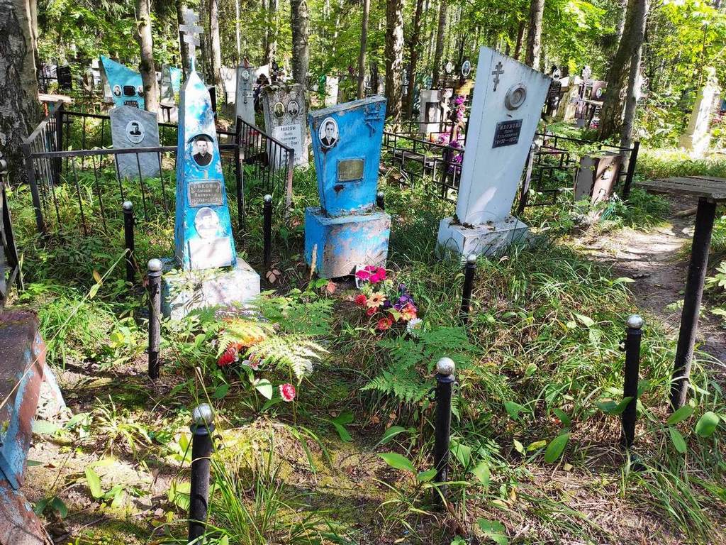 Боков Николай Петрович