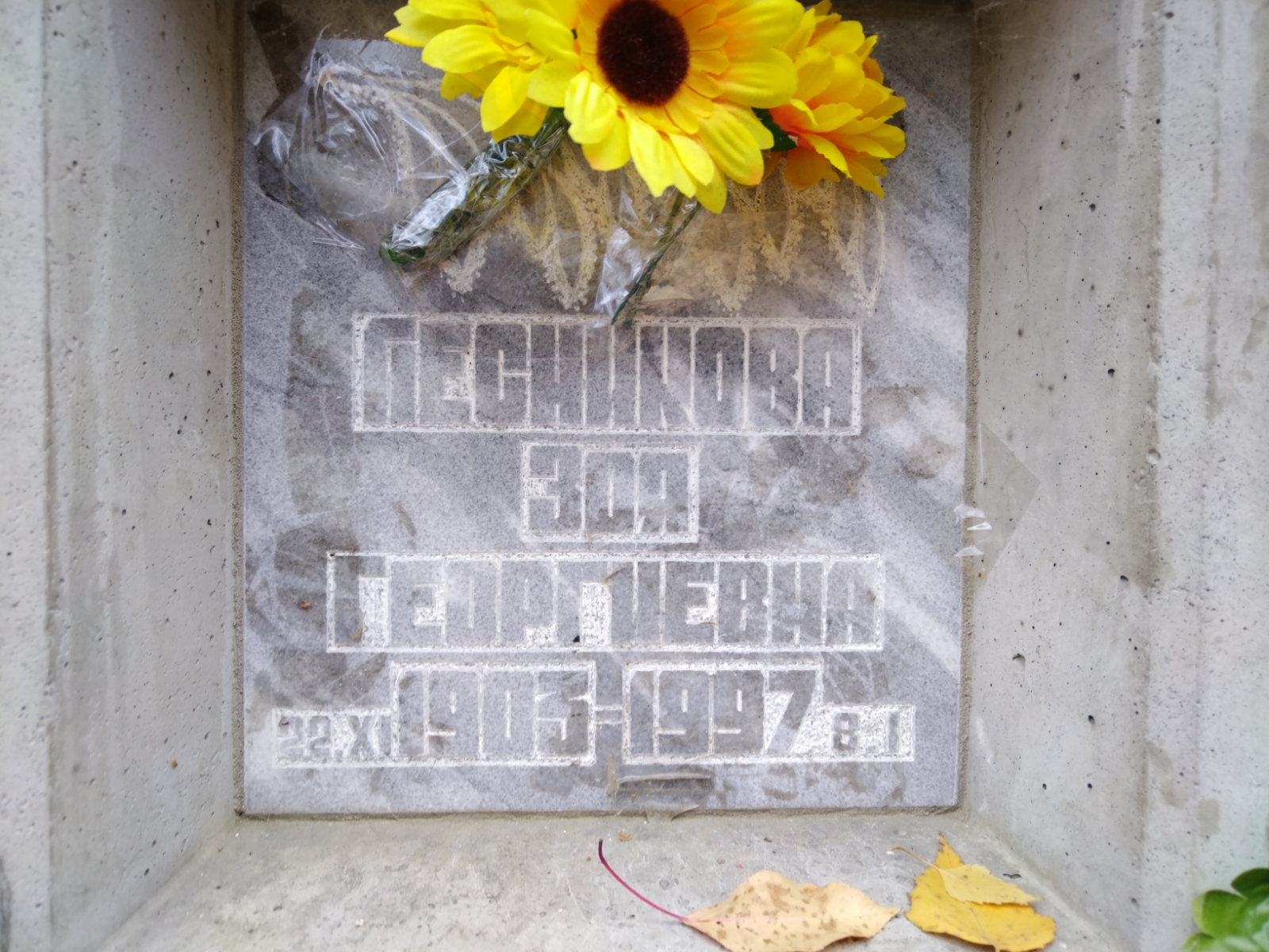 Лесникова Зоя Георгиевна