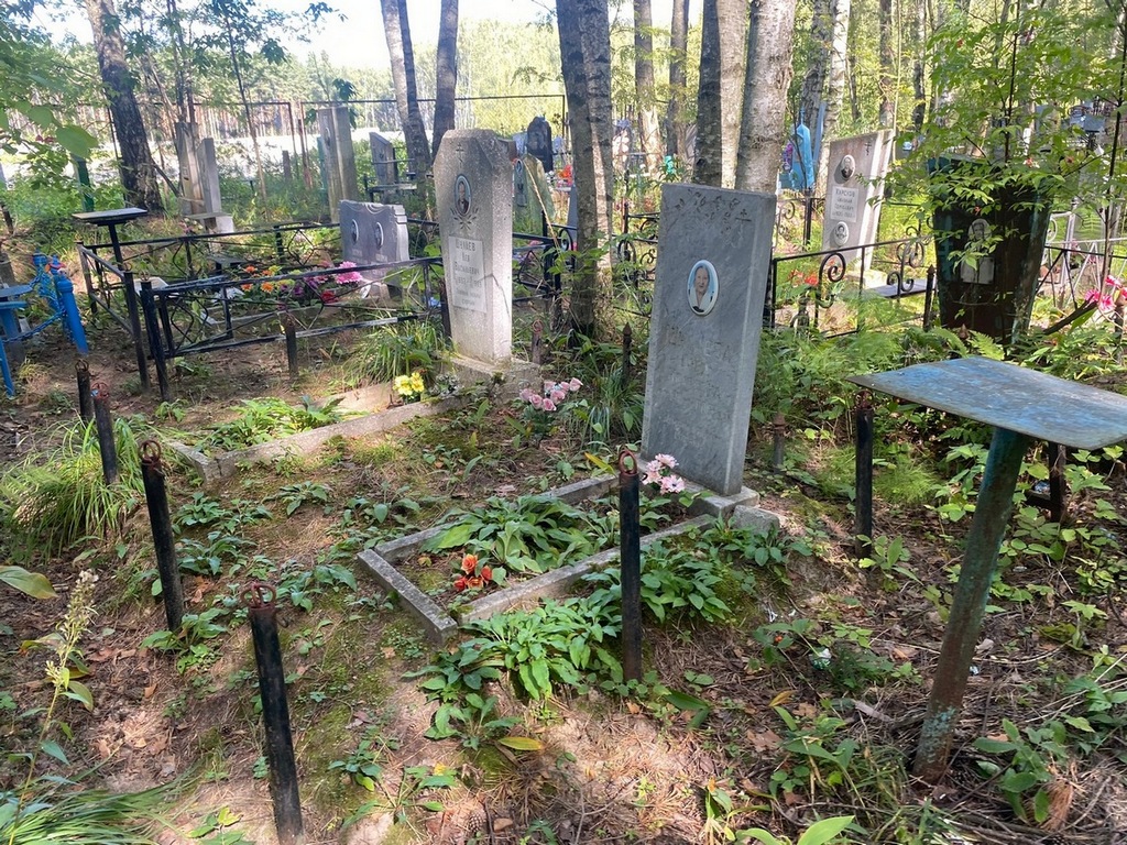 Шулаев Лев Васильевич