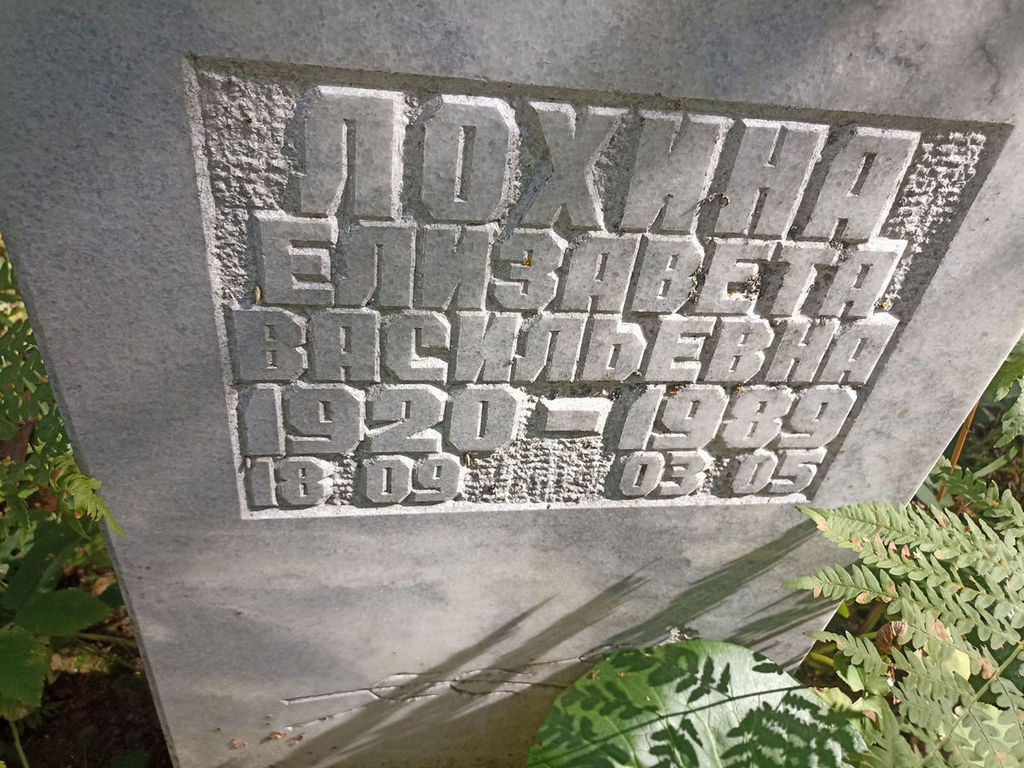 Лохина Елизавета Васильевна