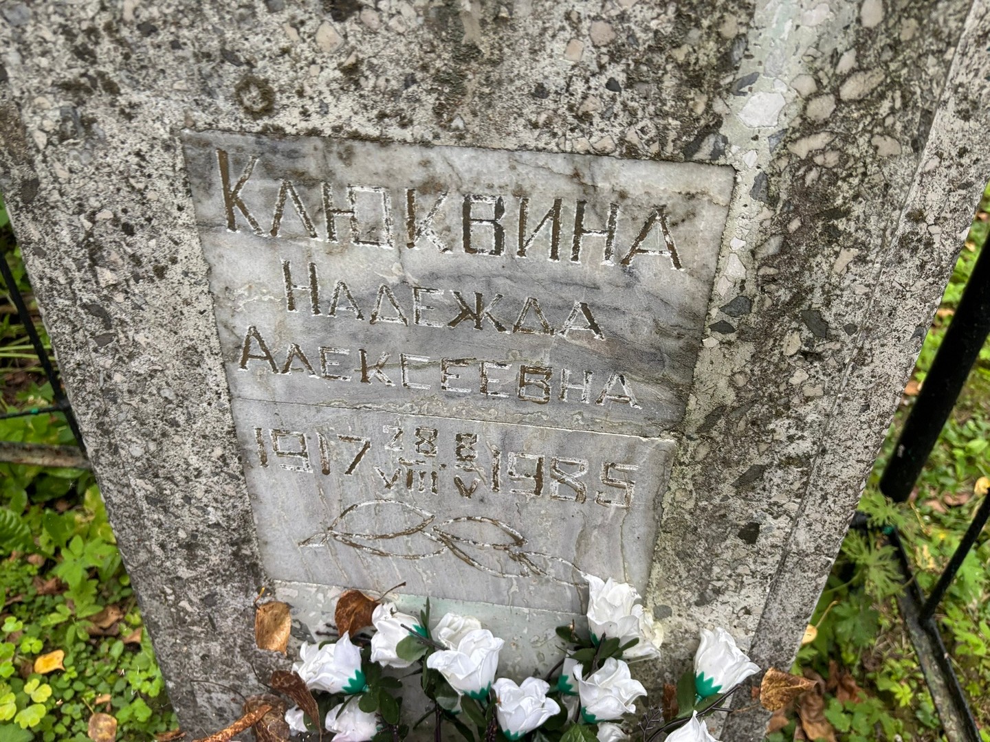 Клюквина