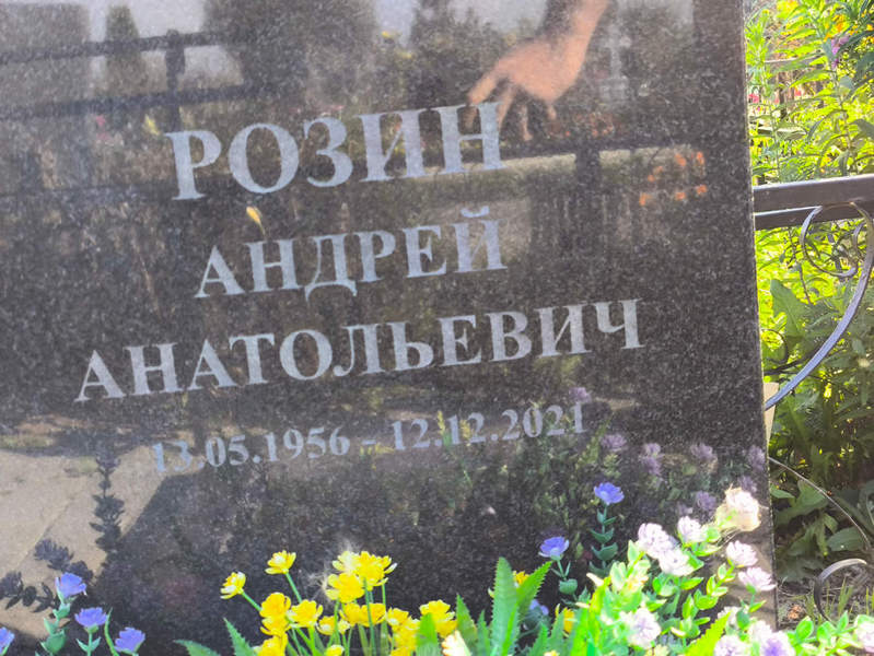 Розин