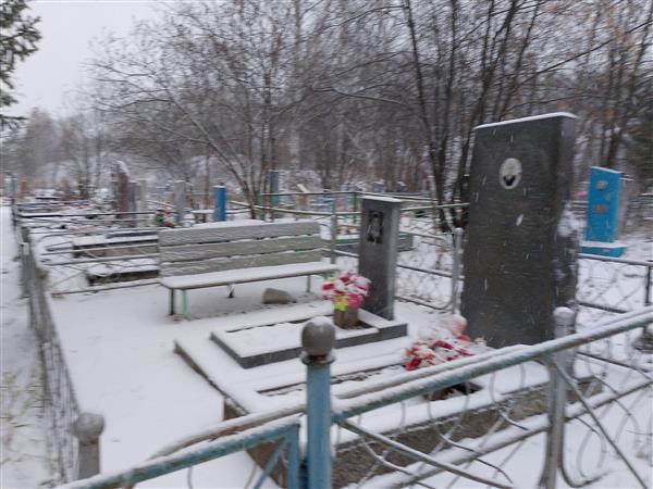 Вирник Арон Григорьевич