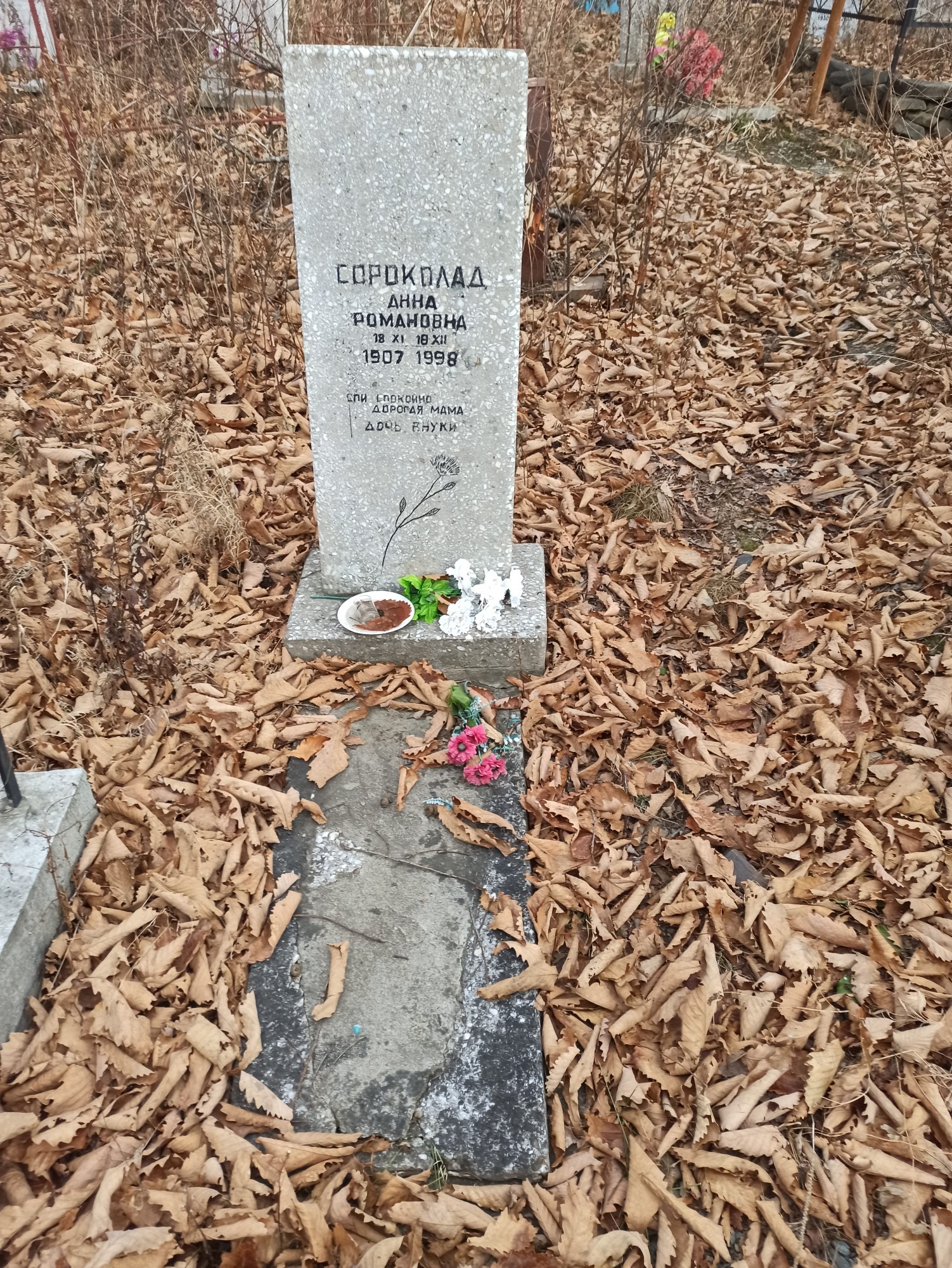 Сороколад Анна Романовна