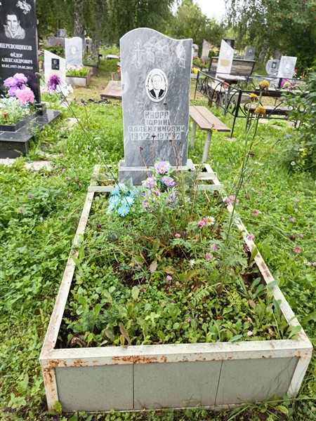 Кнорр Юрий Валентинович