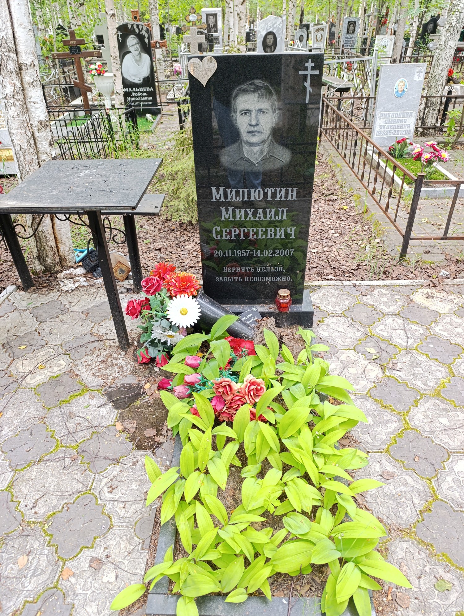 Милютин Михаил Сергеевич