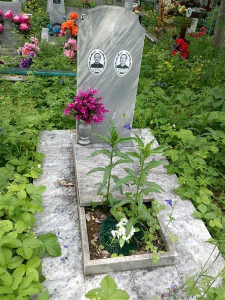 Тиунов Павел Гаврилович