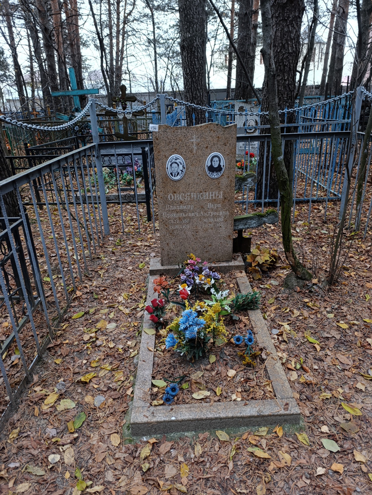 Овсянкина Вера Андреевна