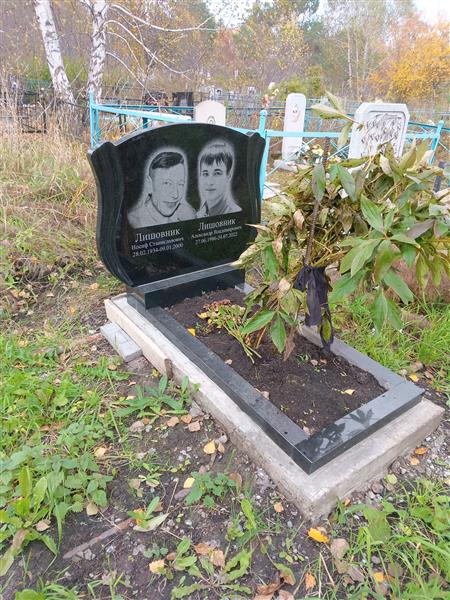 Лишовник Александр Владимирович
