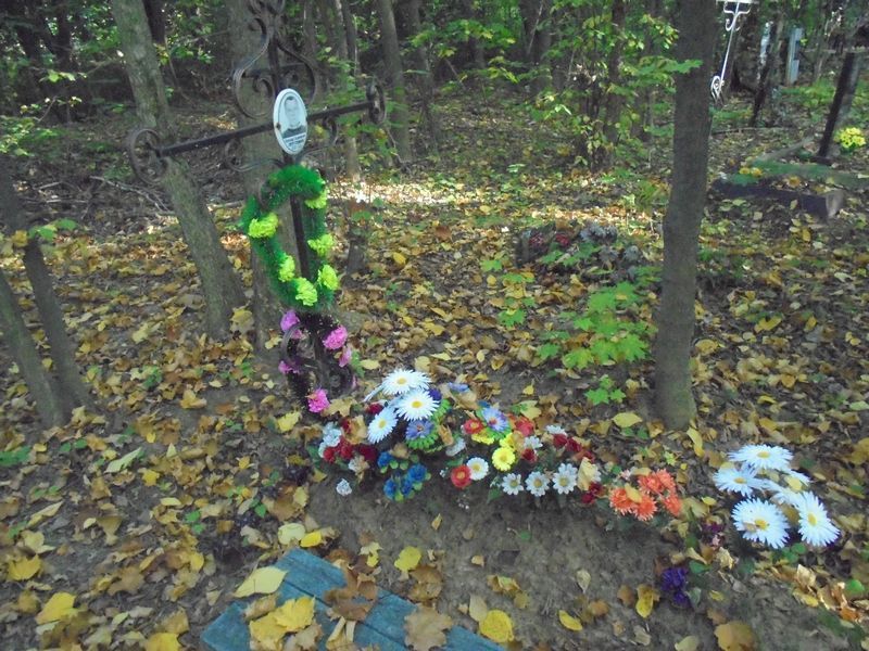 Лулин Александр Владимирович