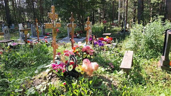 Аненков Андрей Александрович