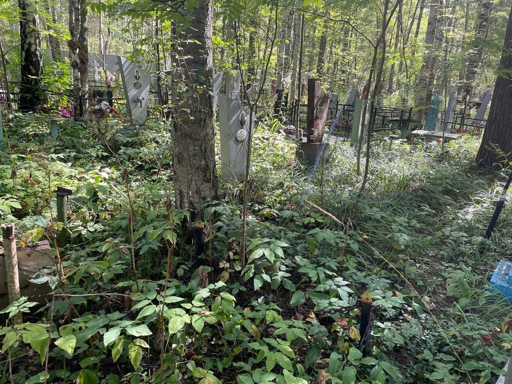 Шляпкина Антонина Петровна