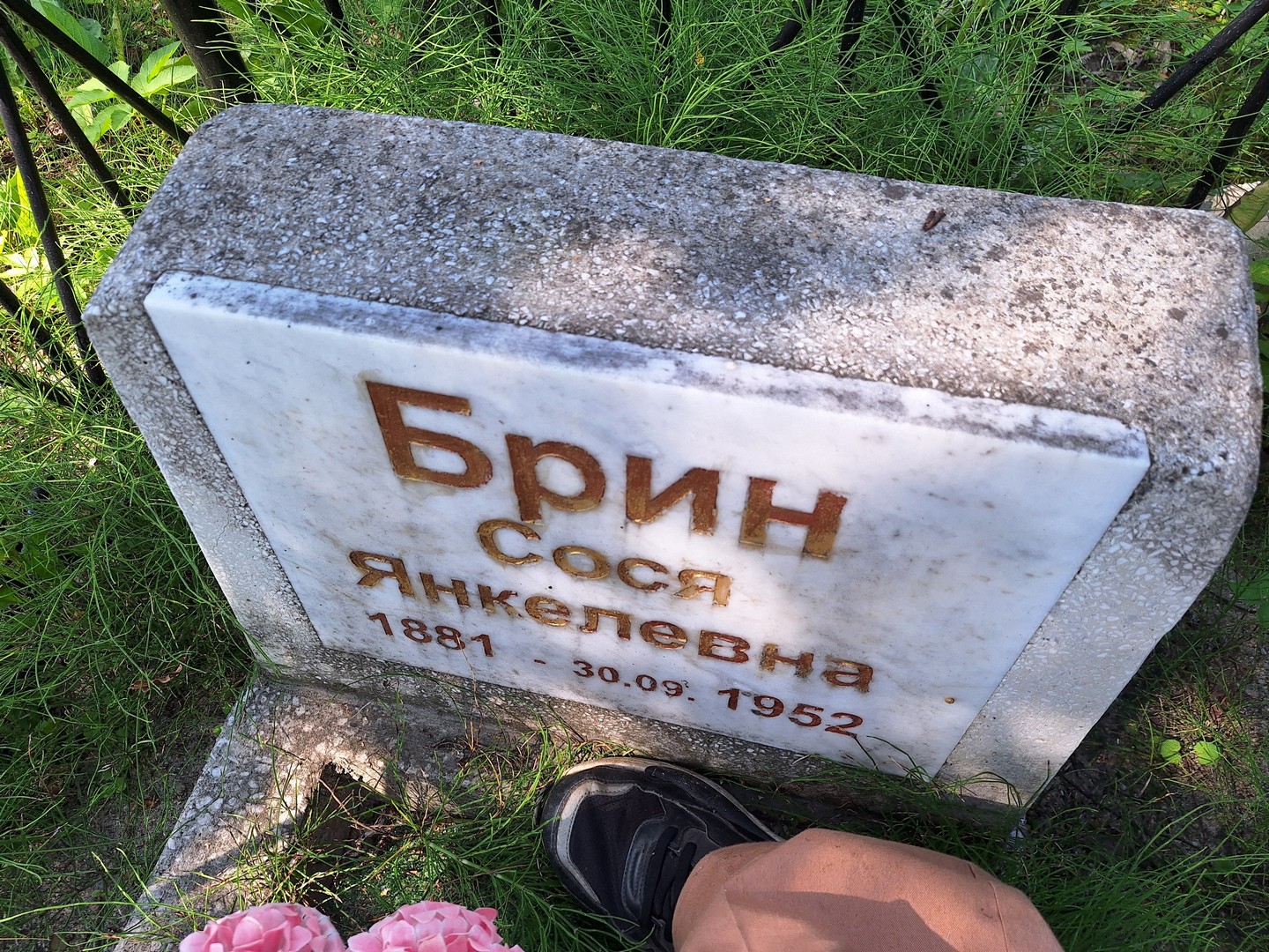 Сося Брин Янкелевна