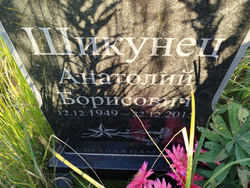 Шикунец