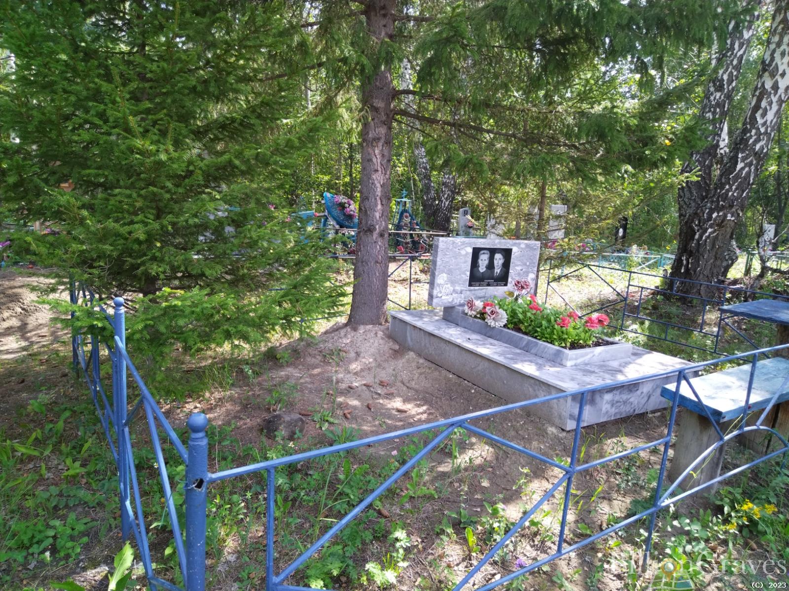 Андреева Александра Павловна