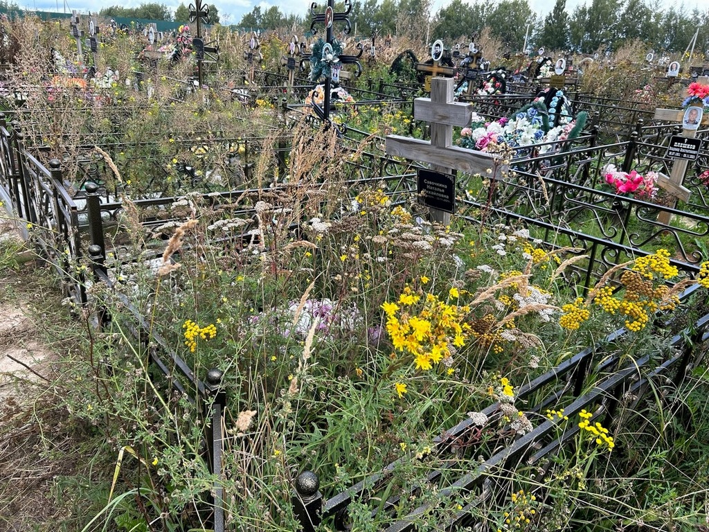 Савочкина Наталья Михайловна