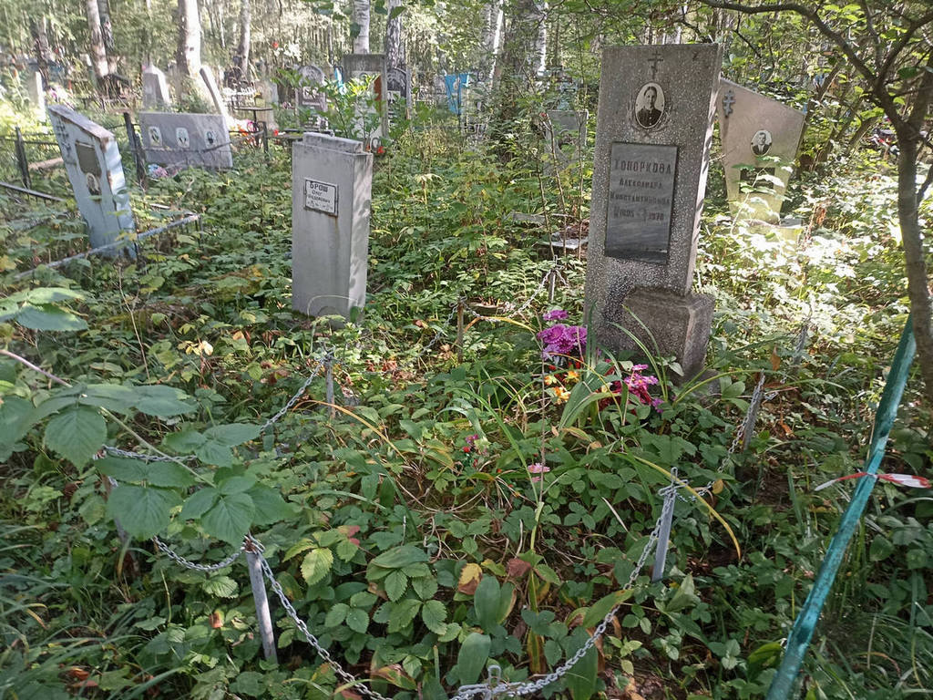 Топоркова Александра Константиновна