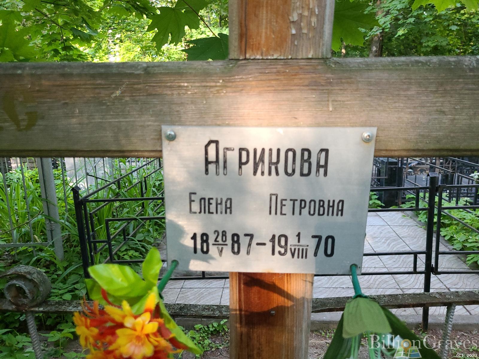 Агрикова Елена Петровна