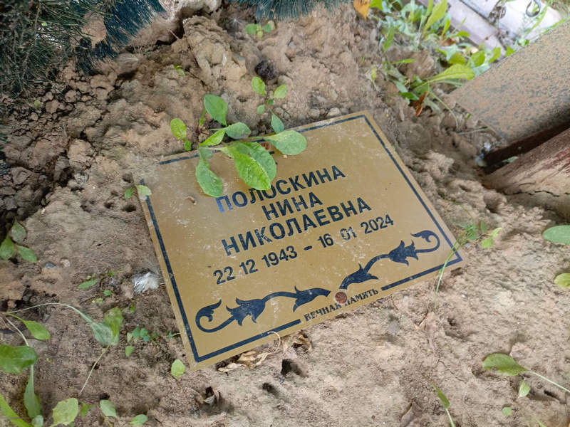 Полоскина
